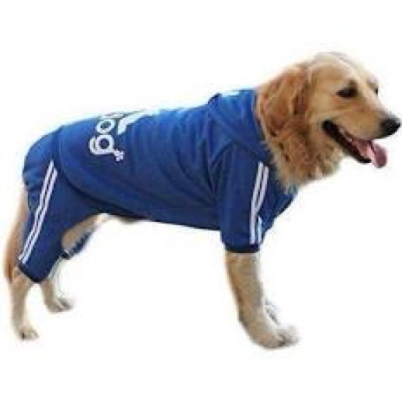 Adidog Royal Blue Tracksuit - Picture 3 of 8